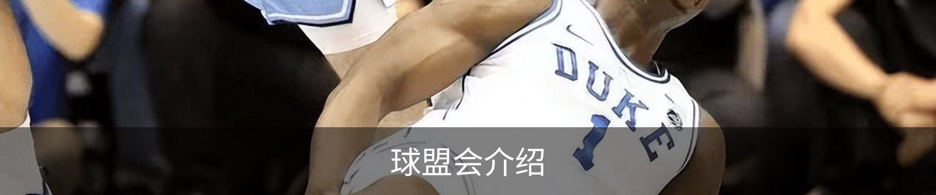 球盟会介绍